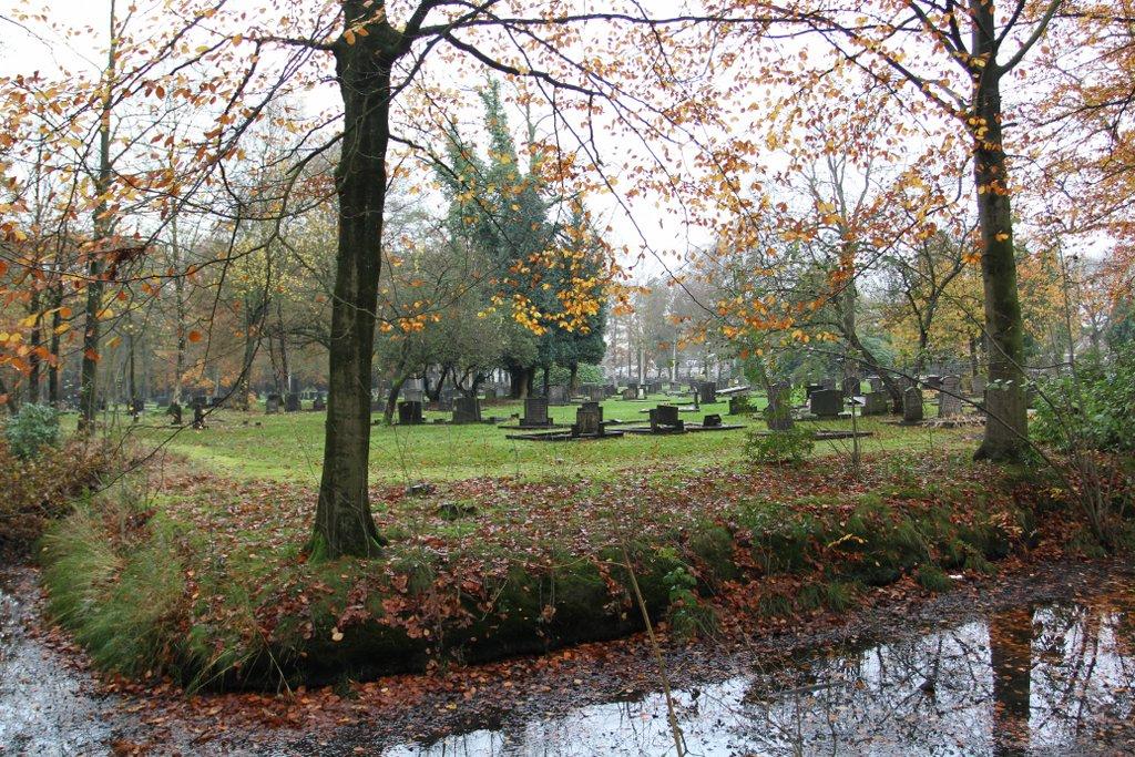 Noorder begraafplaats, RM, IMG_9970 (8)